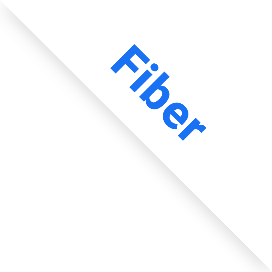 fiber internet option